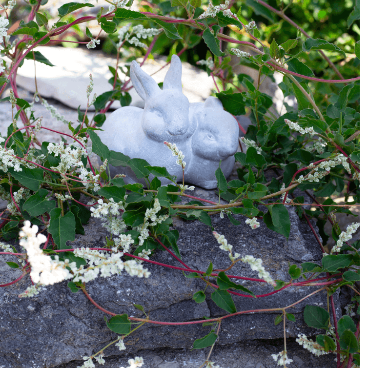 Web - New Arrivals (1)