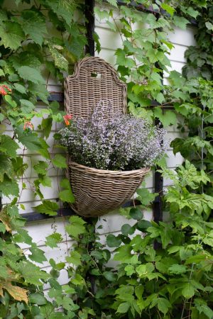 LARGE KUBU GREY RATTAN  WALL PLANTER WITH LINER