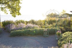 GREEN METAL GARDEN ARCH  WITH PLANT SHELVES