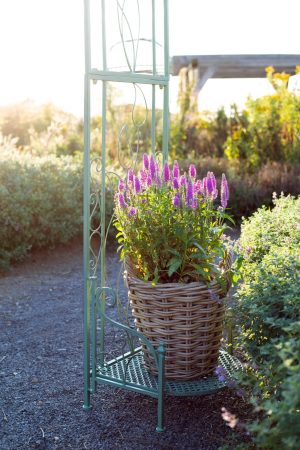 GREEN METAL GARDEN ARCH  WITH PLANT SHELVES