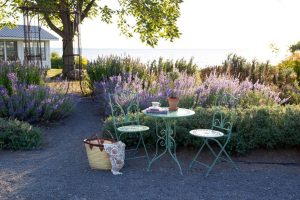 GREEN METAL BISTRO SET OF 3 ONE TABLE PLUS TWO CHAIRS