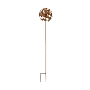 ALLIUM GARDEN STAKE RUST  FINISH