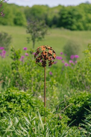 ALLIUM GARDEN STAKE RUST  FINISH