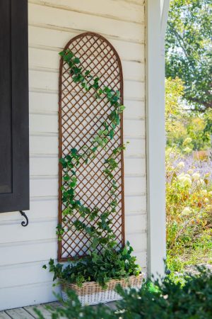 ARCH TRELLIS 6′
