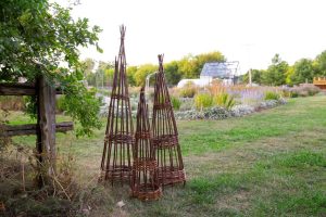 S/3 WILLOW CONE TRELLIS