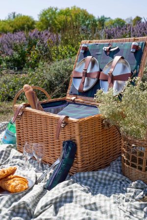 WILLOW 6 PERSON PICNIC BASKET INSULATED LINING