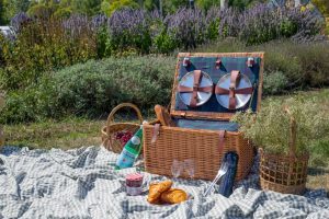 WILLOW 6 PERSON PICNIC BASKET INSULATED LINING