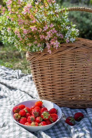 HIGHSIDE OVAL STEAMED WILLOW  BASKET WITH OVERHANDLE