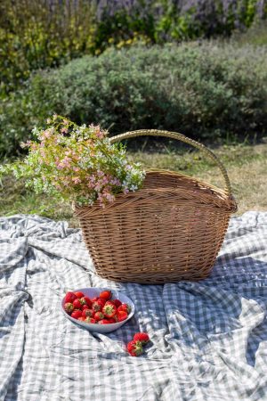 HIGHSIDE OVAL STEAMED WILLOW  BASKET WITH OVERHANDLE