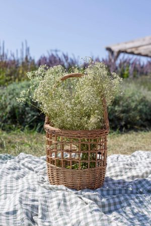 ROUND OPEN WEAVE STEAMED WILLOW BASKET OVERHANDLE