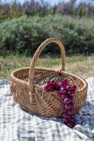 OVAL STEAMED WILLOW BASKET WITH OVERHANDLE