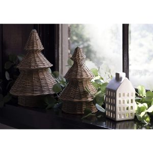 SMALL GREY WILLOW TREE