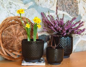 SMALL BLACK SCALLOP POT