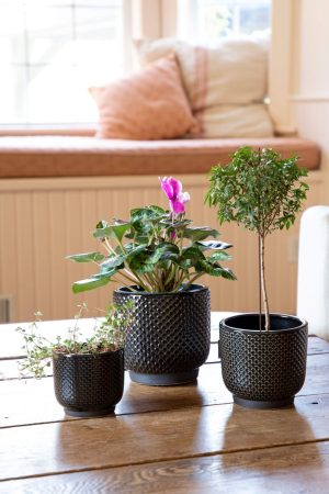 SMALL BLACK SCALLOP POT