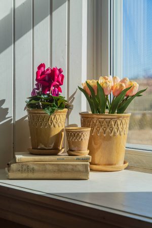 SMALL BEIGE EMBOSSED TOP  POT WITH SAUCER