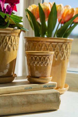 SMALL BEIGE EMBOSSED TOP  POT WITH SAUCER