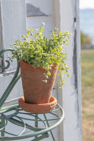 SMALL REDSTONE POT WITH SAUCER