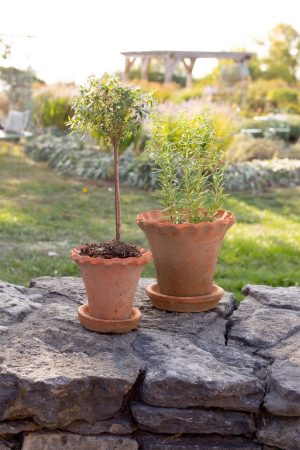 LARGE FRILLY EDGE REDSTONE POT WITH SAUCER