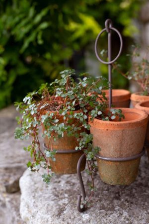 WIRE STAND WITH 6 REDSTONE POTS