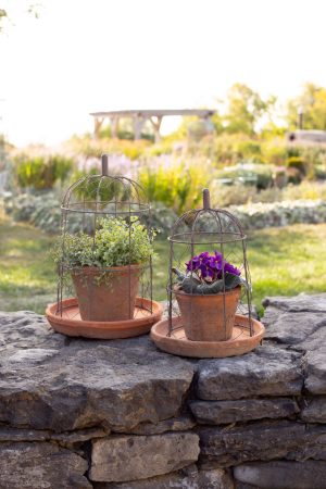 WIRE DOME WITH LARGE REDSTONE POT ON SAUCER